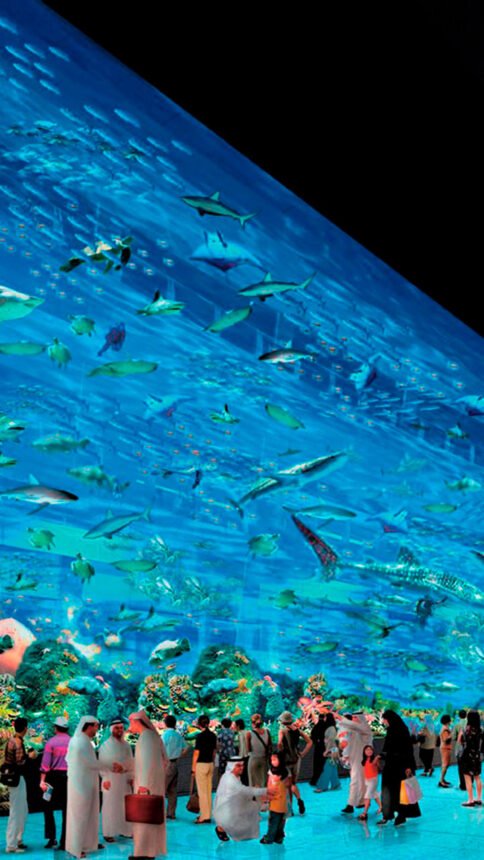 Dubai Aquarium & Underwater Zoo